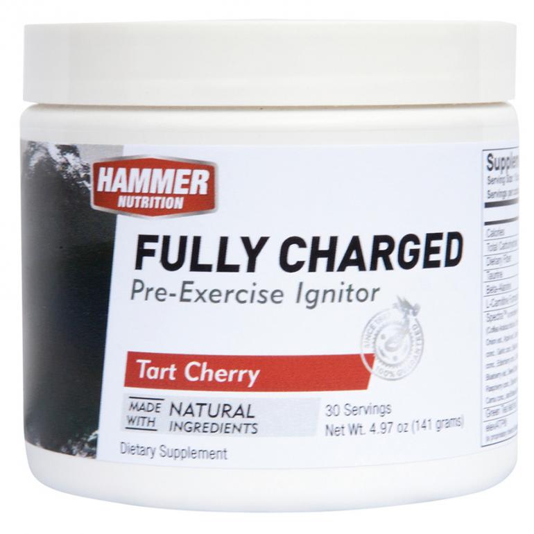 Hammer Nutrition Fully Charged