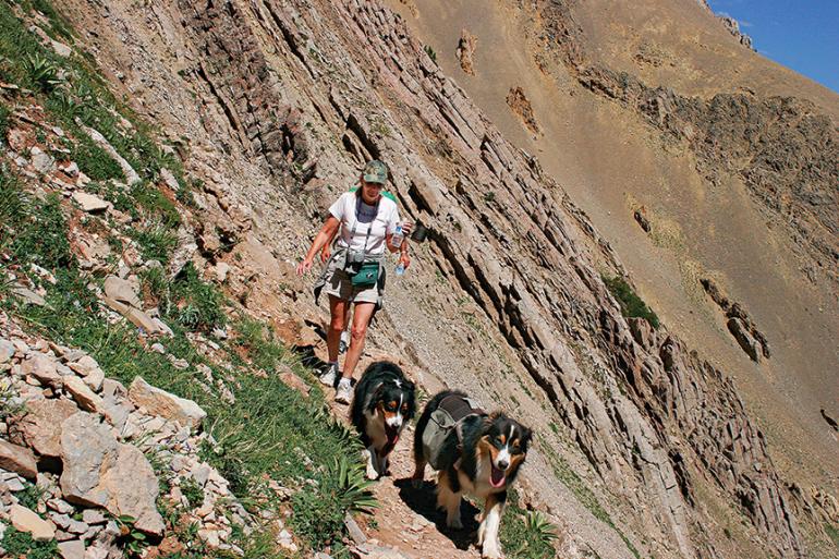 Hiker, Dog, Sacajewea, Trail