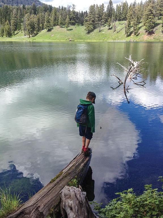 Trout Lake, Yellowstone, Family-Friendly Hikes