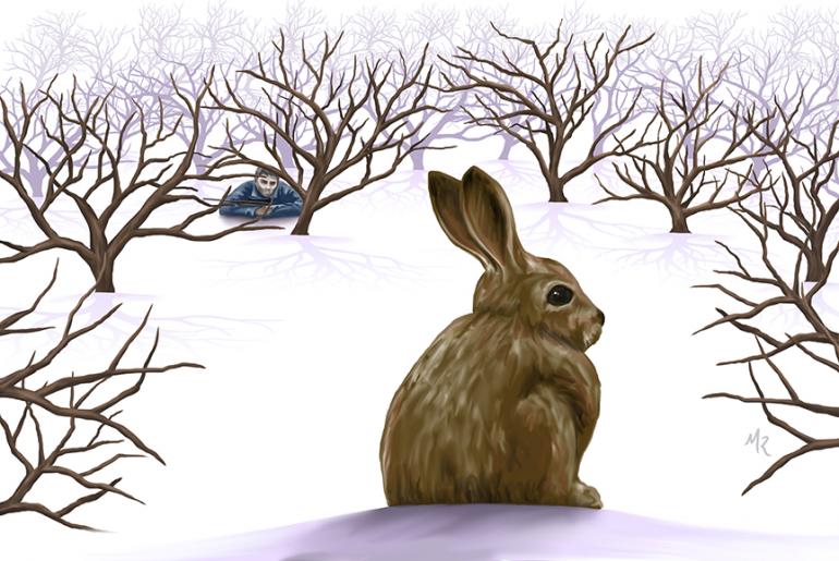 winter, crockpot rabbit, Outside Bozeman, Montana