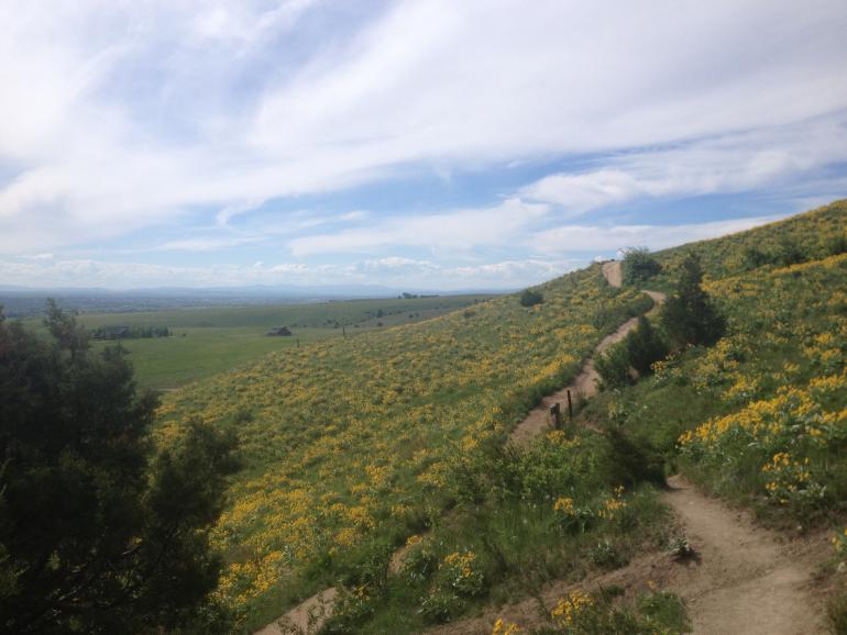 Bridger Foothills Trail, Bozeman, Montana, Gallatin Valley Land Trust