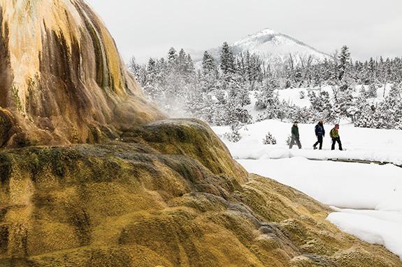 Yellowstone National Park, Snowshoeing Winter, Montana