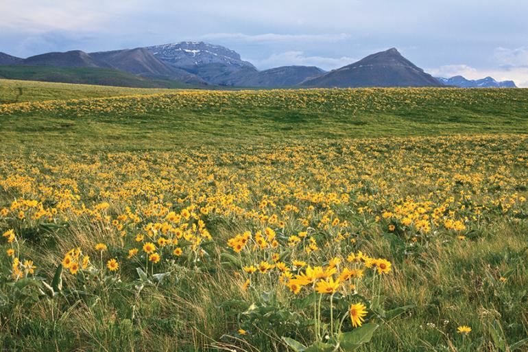 Rocky Mountain Front, Montana Wilderness Areas, Outside Bozeman magazine