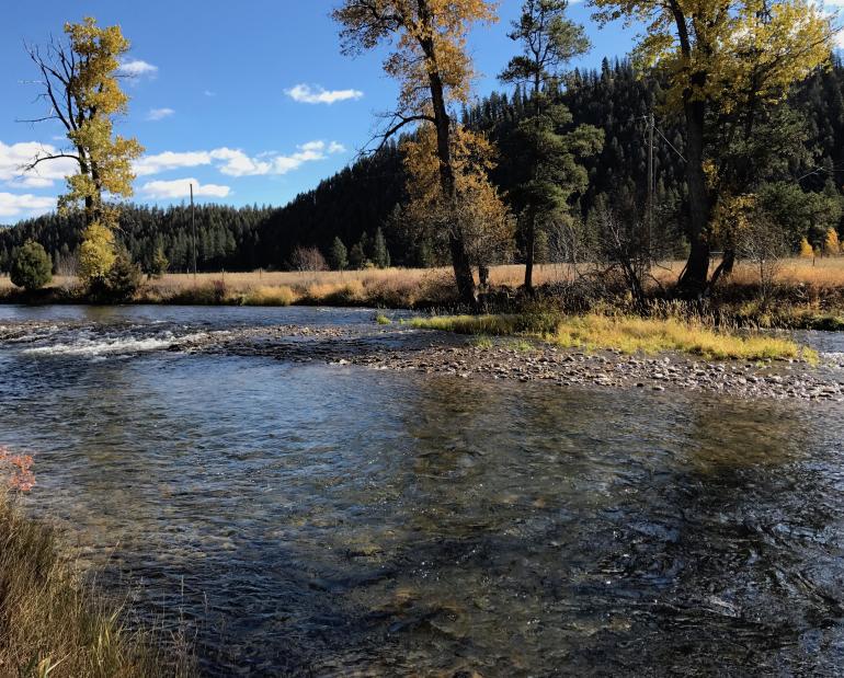 Rock Creek, Fly Fishing, Fall, Montana