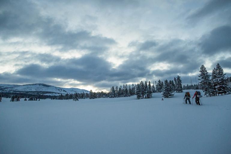 Yellowstone Ski-touring, Fawn Pass