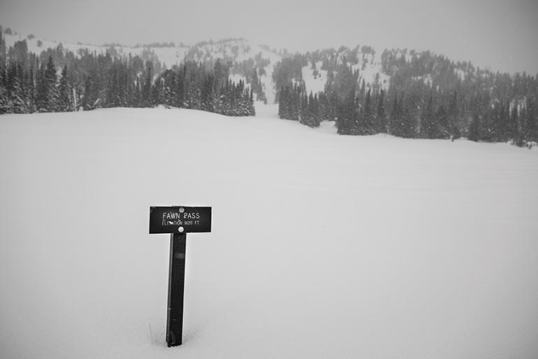 Yellowstone Ski-touring, Fawn Pass