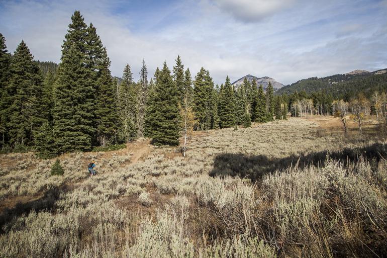The Lionhead, Mountain Biking, CDT, West Yellowstone, Forest Planning