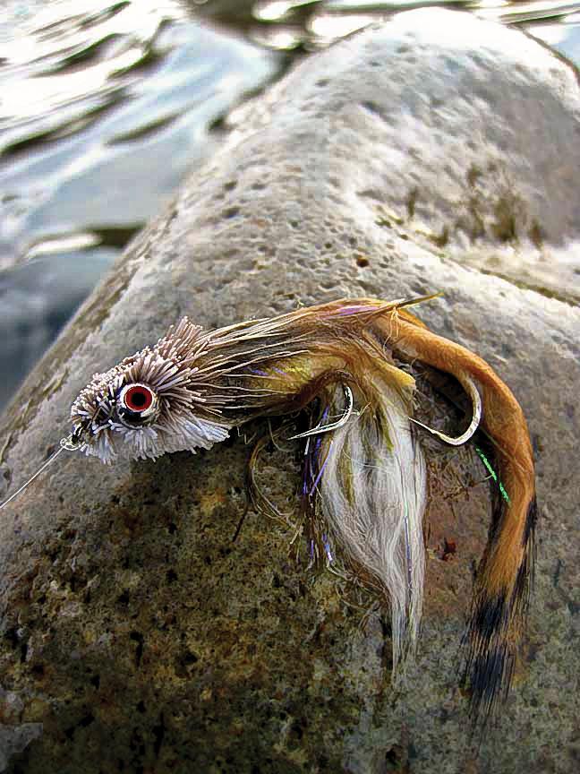 Sculpted Streamer, Spring fly fishing Montana