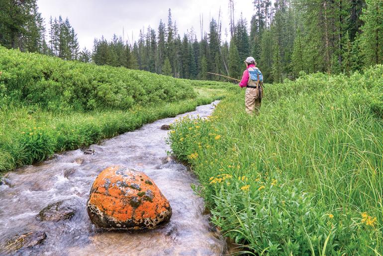 small-stream fishing, fly fishing in Montana, creek fishing