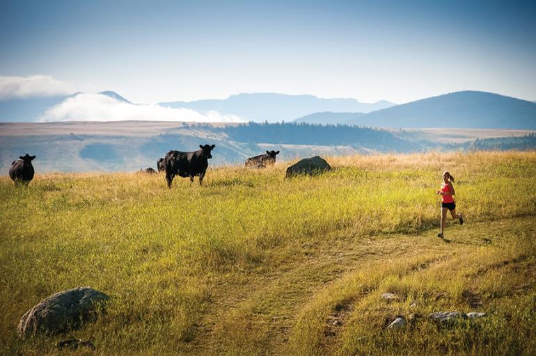 Private Property Rights, Montana Hunting Access
