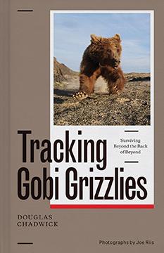 Tracking Gobi Grizzlies, Doug Chadwick, Patagonia Books