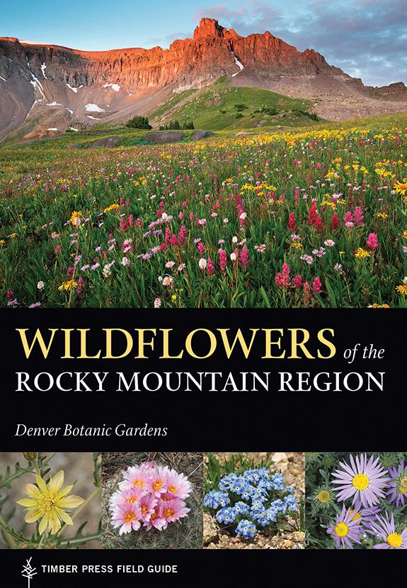 Wildflowers of the Rocky Mountain Region