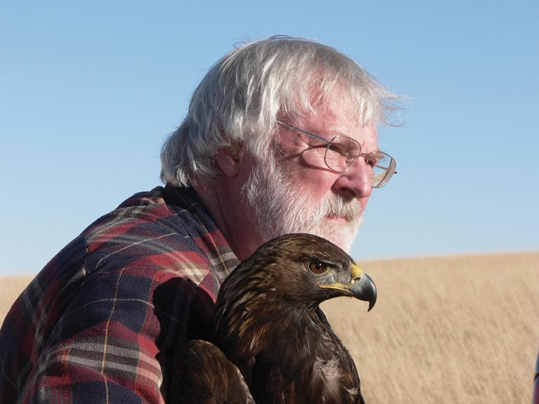 Golden eagles, Montana conservation, Outside Bozeman