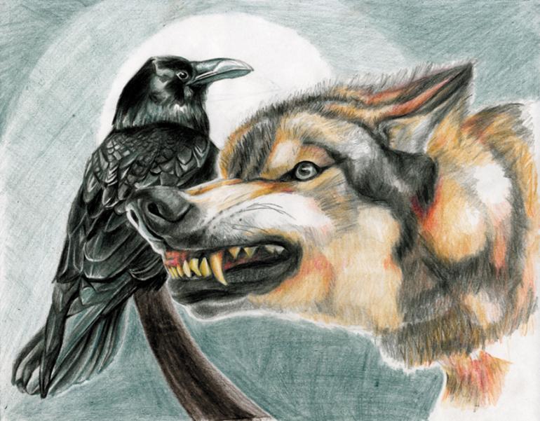 wolf, raven, illustration