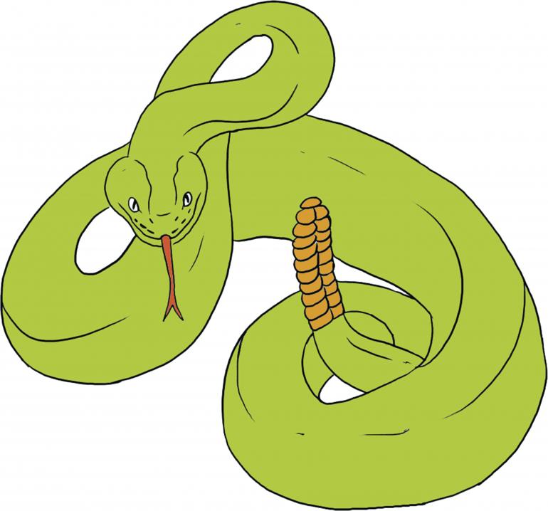 rattlesnake, snakes in Montana, snake safety