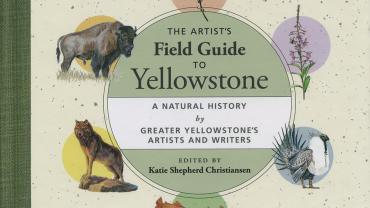 the artist's field guide to yellowstone