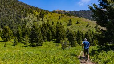 hiking, trail running, trails, bridgers