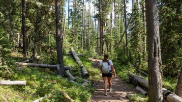 Hyalite, hiking, trails