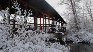 trails, drinking horse, bozeman, winter