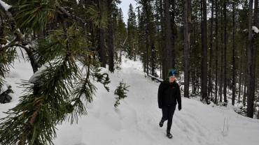 winter, hiking, moser creek, trails