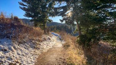 trails, winter