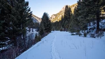 trails, winter, gallatin canyon, hiking