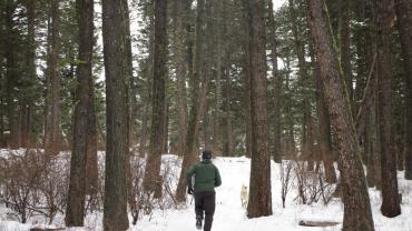 hiking, bozeman, winter, trails