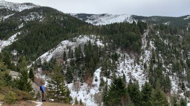trails, bozeman, bridgers, winter, hiking