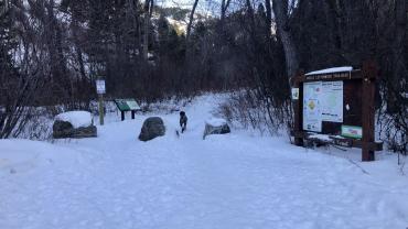 hiking, winter, trails, bridgers