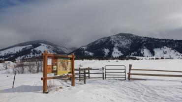 trails, bozeman, bridgers, winter, hiking