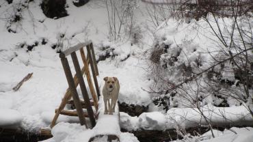 hiking, bozeman, trails, winter