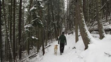hiking, bozeman, trails, winter