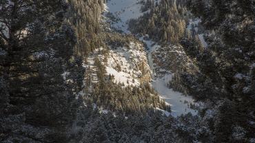 trails, winter, hiking, bridgers