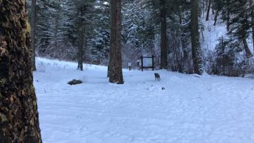 hiking, trails, winter, bridgers