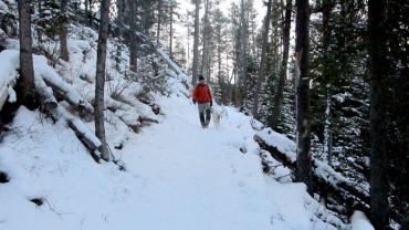 trails, bozeman, winter, hiking