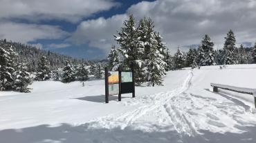 nordic skiing, cross country, yellowstone national park