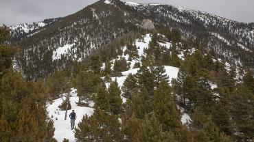 trail running, winter, bridgers, trails