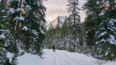 Hyalite Creek Trail Ski