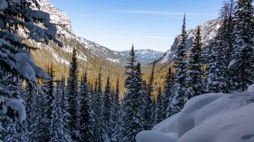 Hyalite Creek Trail View