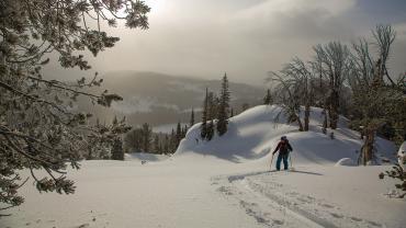 Skiing, Cooke City, backcountry, nordic skis, montana, bozeman
