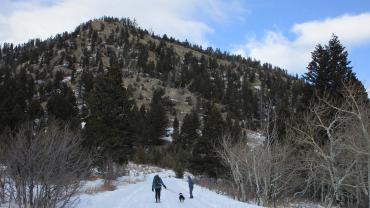 Stone Creek Road bridger canyon bozeman montana