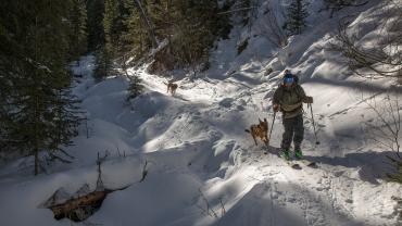 New World Gulch Trail Winter