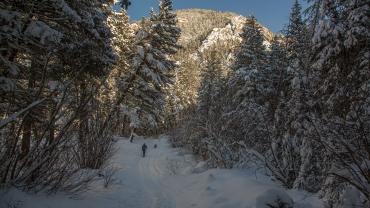 Bear Canyon Trail Winter