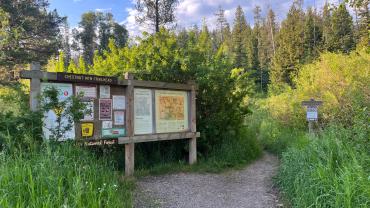Chestnut Mountain Trail