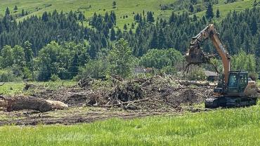 Bozeman tree removal bulldozer