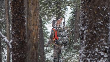 Carrying elk in backpack in woods