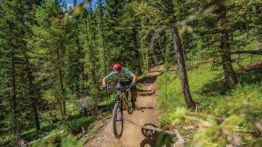 Biking Mountains to Meadows
