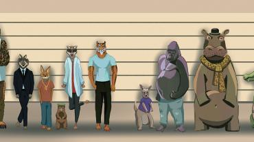 animal lineup absurd hunting laws