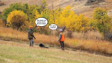 Bird Hunting