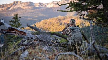 hunting sunrise